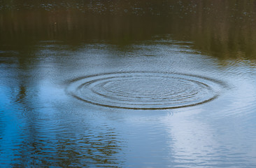 Circular water waves