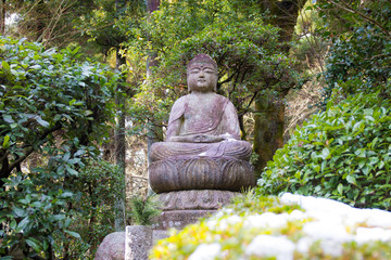 Buddha stone in the Lump around with trees at ryoanji Temple, Kyoto, Japan.