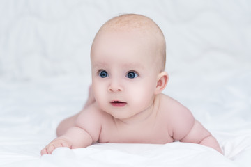 portrait of adorable baby girl or boy with big blue eyes. cute baby lying naked on her belly on soft blanket and looks away with surprised