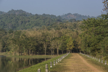 road in mountain forest

