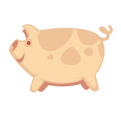 Cute big pig