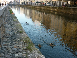 Navigli