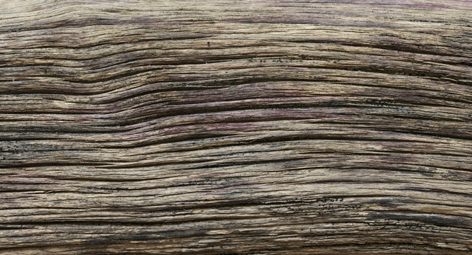 Distressed weathered wood texture
