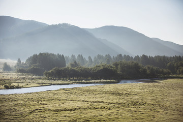 Mountain valley near Ust-Kan, Charysh River