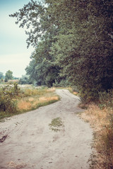 Fototapeta na wymiar Old rural road in summertime. Style toned photo.