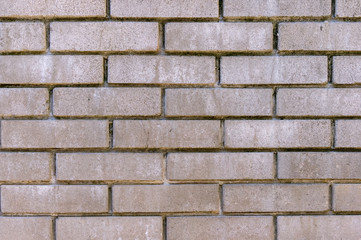 Classic brick wall background for design