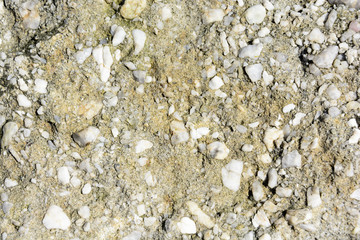 Natural texture of conglomerate with quartz stones