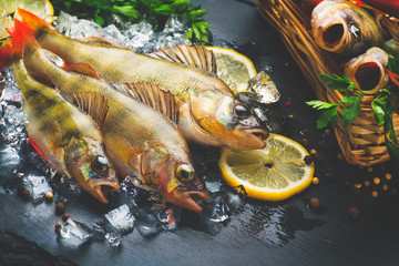 Fototapeta na wymiar Fresh fish on ice with aromatic herbs, spices, salt. Raw perches on dark slate tray