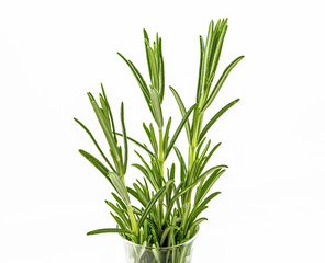 Rosemary in the glass, italian, Spice, herbs