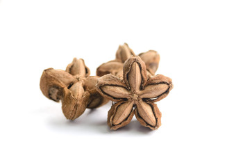 Plukenetia volubilis, sacha peanut, or sacha inchi on white background, herb and nature