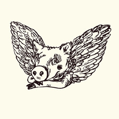 Funny piggy portrait with lovely angel wings, hand drawn doodle, sketch in pop art style, black and white vector illustration