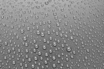 water drops on black background. Macro.