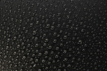 water drops on black background. Macro.