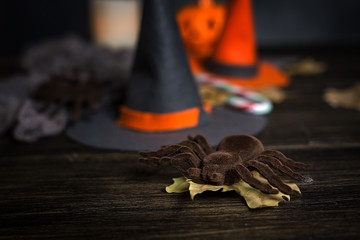 Halloween decoration background