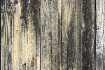 wood texture