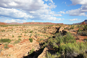 Idyllic landscape in Utah, USA