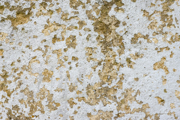Concrete texture