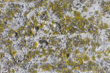 Concrete texture