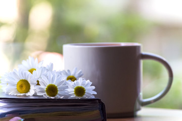 Mug, daisies, Notepad, glasses. The concept of a Sunny summer morning.
