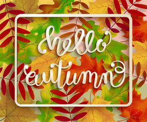 Naklejka premium Hello, Autumn. A voluminous inscription in a frame with leaves of mountain ash, birch, oak and maple. Lettering. Banner, poster. Vector illustration