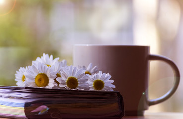 Mug, daisies, Notepad, glasses. The concept of a Sunny summer morning.