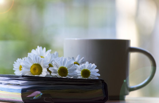 Mug, daisies, Notepad, glasses. The concept of a Sunny summer morning.