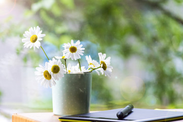 Mug, daisies, graphics tablet. The concept of am designer. A Sunny summer morning.