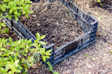 plastic box with soil on the ground in the garden