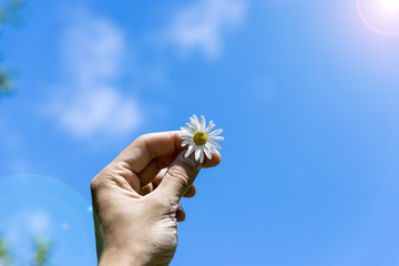 A man holding a Daisy in his hands