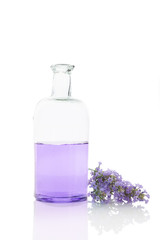 Obraz na płótnie Canvas Fresh lavender aromatherapy.