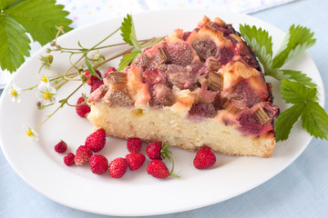 Erdbeer und Rhabarberkuchen