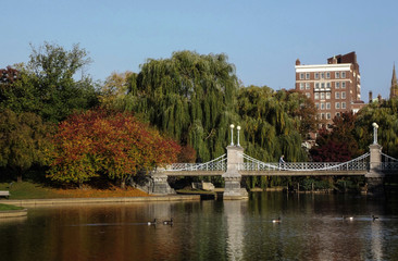 Fototapeta na wymiar Boston Public Garden Park Trees, Bridge, Pond