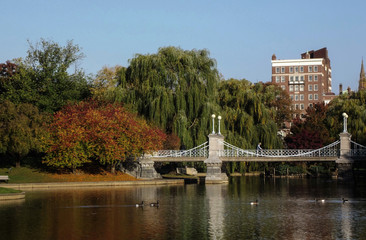 Obraz premium Boston Public Garden Park Trees, Bridge, Pond