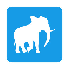 Icono plano silueta elefante en cuadrado azul
