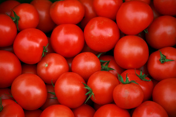 Tomaten