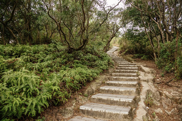 The warship rock trails © TPG