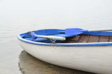 Old wooden white boat with sides, benches and raised blue paddles, is moored to shore in shallow water of forest lake on overcast summer day
