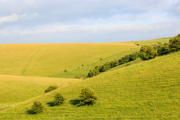 Green Landscape