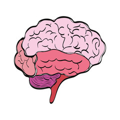 Human brain symbol