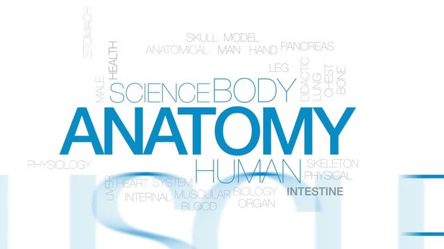 Anatomy animated word cloud, text design animation. Kinetic typography.