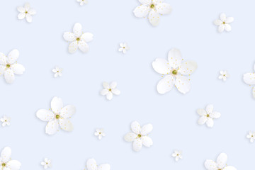 Background with isolated flowers 
