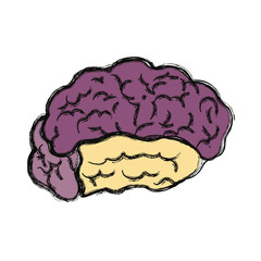 Human brain symbol