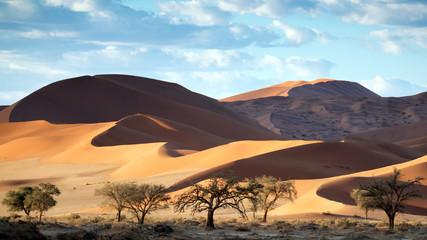 Fototapeta na wymiar Beautiful undulating dunes in the Namb desert for WideScreen 4K Wallpapers