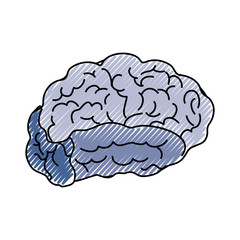 Human brain symbol
