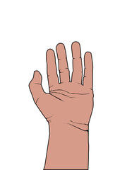 High Five Finger Communication Hand Illustration