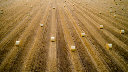 Straw bales in aerial view