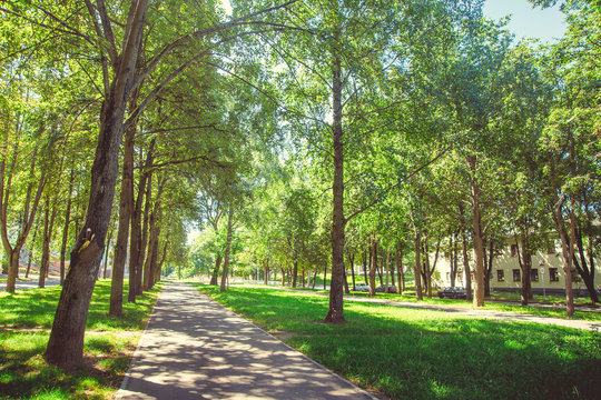 A deserted boulevard in the center of the city in bright sunny summer weather