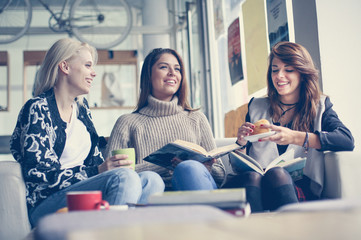 Friends in cafe. Three best friends learning and eating together