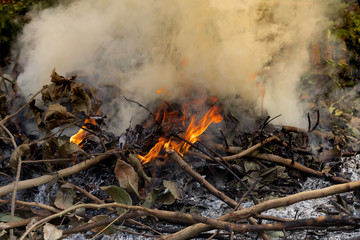 fire burning refuse, poisonous smoke,cause of wildfire, Causes by Global Warming
