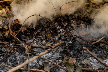 fire burning refuse, poisonous smoke,cause of wildfire, Causes by Global Warming